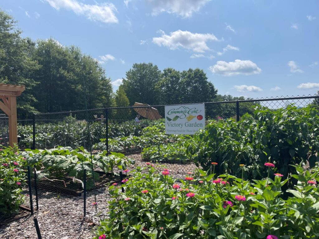cummings cove victory garden