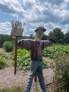 scarecrow