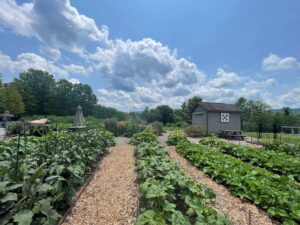 victory garden