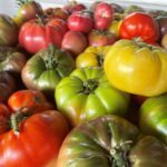 southern tomato sandwich