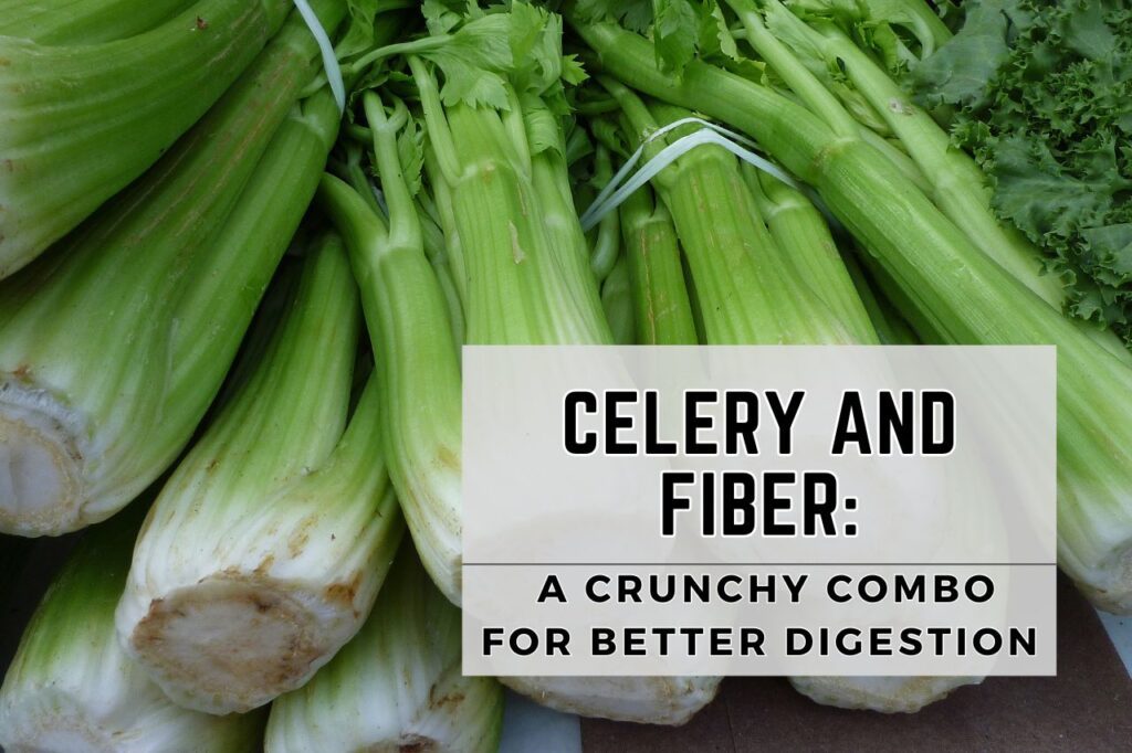 celery and fiber