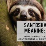 meaning of santosha
