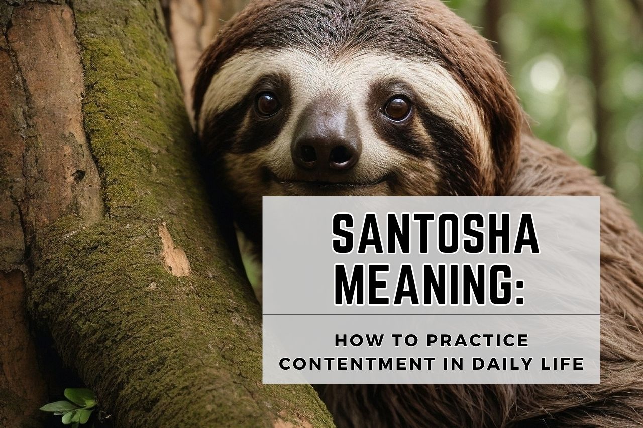 meaning of santosha